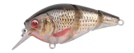 wobler-spro-ikiru-tri-crank-roach-65-cm-sls