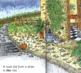 i-love-reading-level-3-snail-trail-tytul-i-love-reading-level-3-snail-trail