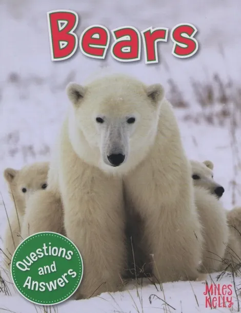 first-questions-and-answers-bears