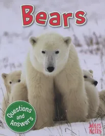 first-questions-and-answers-bears