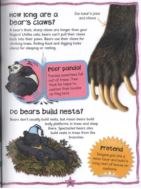 first-questions-and-answers-bears-autor-praca-zbiorowa