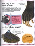 first-questions-and-answers-bears-autor-praca-zbiorowa