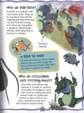 first-questions-and-answers-deadly-creatures-autor-praca-zbiorowa