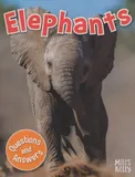 first-questions-and-answers-elephants