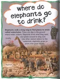 first-questions-and-answers-elephants-tytul-first-questions-and-answers-elephants