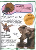 first-questions-and-answers-elephants-autor-praca-zbiorowa