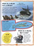 first-questions-and-answers-oceans-autor-praca-zbiorowa