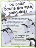 first-questions-and-answers-penguins-tytul-first-questions-and-answers-penguins