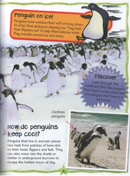 first-questions-and-answers-penguins-autor-praca-zbiorowa