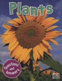 first-questions-and-answers-plants