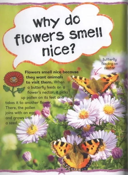 first-questions-and-answers-plants-tytul-first-questions-and-answers-plants
