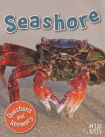 first-questions-and-answers-seashore
