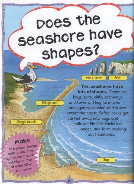 first-questions-and-answers-seashore-tytul-first-questions-and-answers-seashore