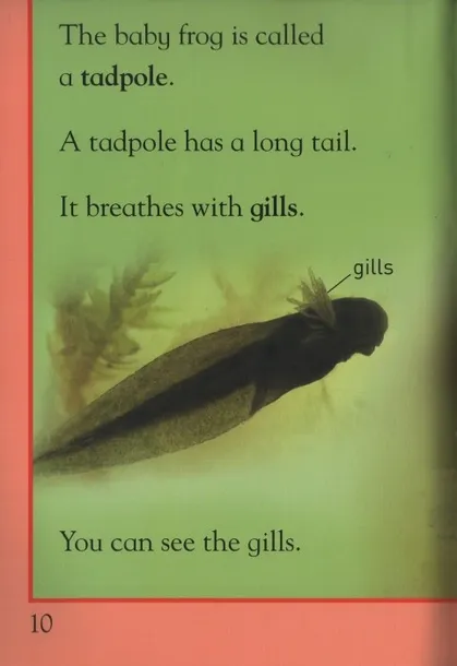 kingfisher-reader-level-1-tadpoles-and-frogs-tytul-kingfisher-reader-level-1-tadpoles-and-frogs