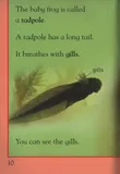 kingfisher-reader-level-1-tadpoles-and-frogs-tytul-kingfisher-reader-level-1-tadpoles-and-frogs