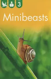 kingfisher-reader-level-3-minibeasts