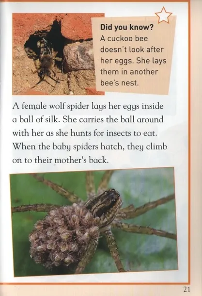 kingfisher-reader-level-3-minibeasts-autor-praca-zbiorowa