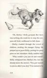 magical-animal-stories-moonlight-magic-tytul-magical-animal-stories-moonlight-magic