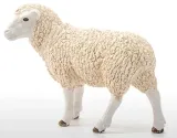 owca-farm-world-schleich-certyfikaty-opinie-atesty-ce