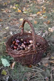 kosz-wiklinowy-z-raczka-maly