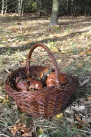 kosz-wiklinowy-z-raczka-sredni
