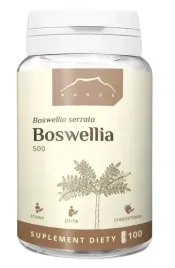boswellia-500-x-100-kapsulek-nanga