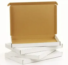pudelko-karton-305x215x25-biale-na-plyty-ksiazki-10szt