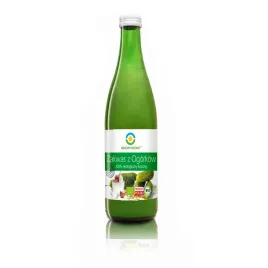 bio-food-zakwas-z-ogorkow-100percent-kiszony-eko-500-ml
