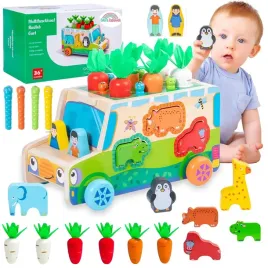 montessori-sorter-klockow-zlap-robaczka-auto-ukladanka-marchewki-i-robaczki