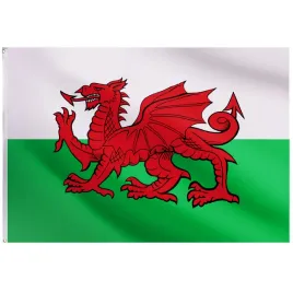 flaga-na-maszt-walii-98x152-cm-fosco-flag-of-wales