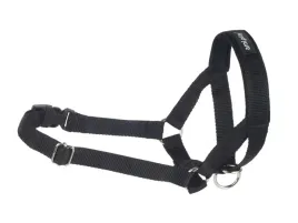 amiplay-obroza-uzdowa-halter-basic-m-czarna