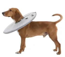 miekki-kolnierz-ochronny-dla-psa-dysk-trixie-l