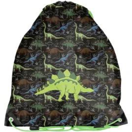 dinozaury-worek-na-wf-obuwie-stroj-gimnastyczny-kapcie-buty-tyranozaur-paso