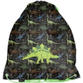 dinozaury-worek-na-wf-obuwie-stroj-gimnastyczny-kapcie-buty-tyranozaur-paso