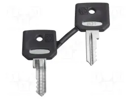 zbg3131a-klucz-22mm-harmony-xb4-x1szt