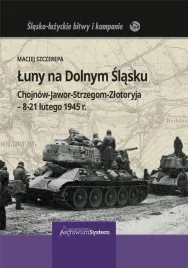 luny-na-dolnym-slasku-tw-maciej-szczerepa