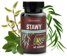 stawy-kadzidlowiec-wierzba-ashwagandha-sosna