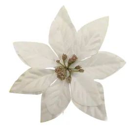 gwiazda-wyr-kremowa-24-szt