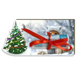 karnet-na-banknot-choinka-lisek-patrys-120x60-mm