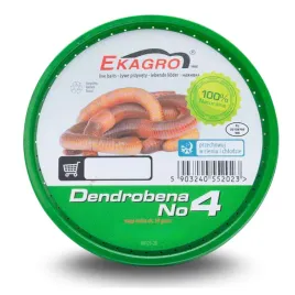 dendrobena-4-ekagro-prosto-od-producenta-dzdzownice-robaki-na-ryby