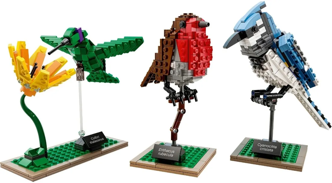 lego-ideas-21301-ptaki-plec-chlopcy