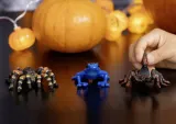 schleich-14864-zaba-niebieska-plec-chlopcy