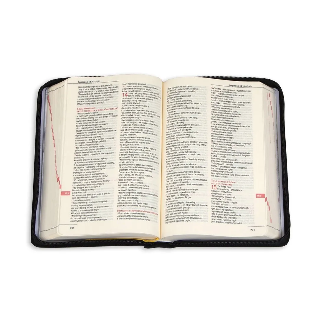 biblia-praca-zbiorowa