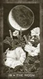 new-era-elements-tarot-eleonore-f-pieper-jezyk-angielski