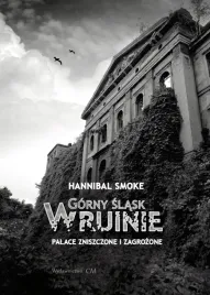 gorny-slask-w-ruinie-palace-zniszczone-i-zagrozone-hannibal-smoke