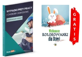 wypadki-przy-pracy-i-choroby-zawodowe-kompendium-wiedzy-praca-zbiorowa