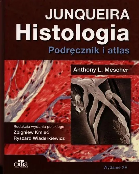 Histologia Junqueira podręcznik i atlas Anthony L. Mescher