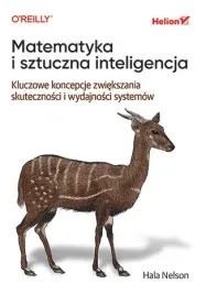 matematyka-i-sztuczna-inteligencja-kluczowe-koncepcje-zwiekszania-skutecznosci-i-wydajnosci-systemow-hala-nelson
