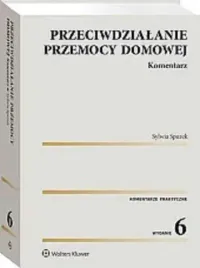 przeciwdzialanie-przemocy-domowej-sylwia-spurek
