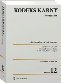 kodeks-karny-komentarz-magdalena-budyn-kulig